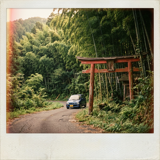 Torii gate along Japanese road